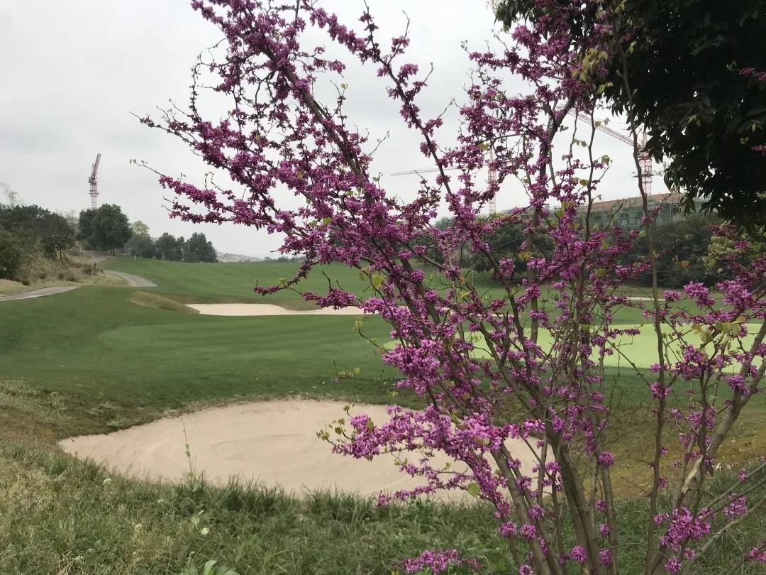 重庆保利高尔夫球会
