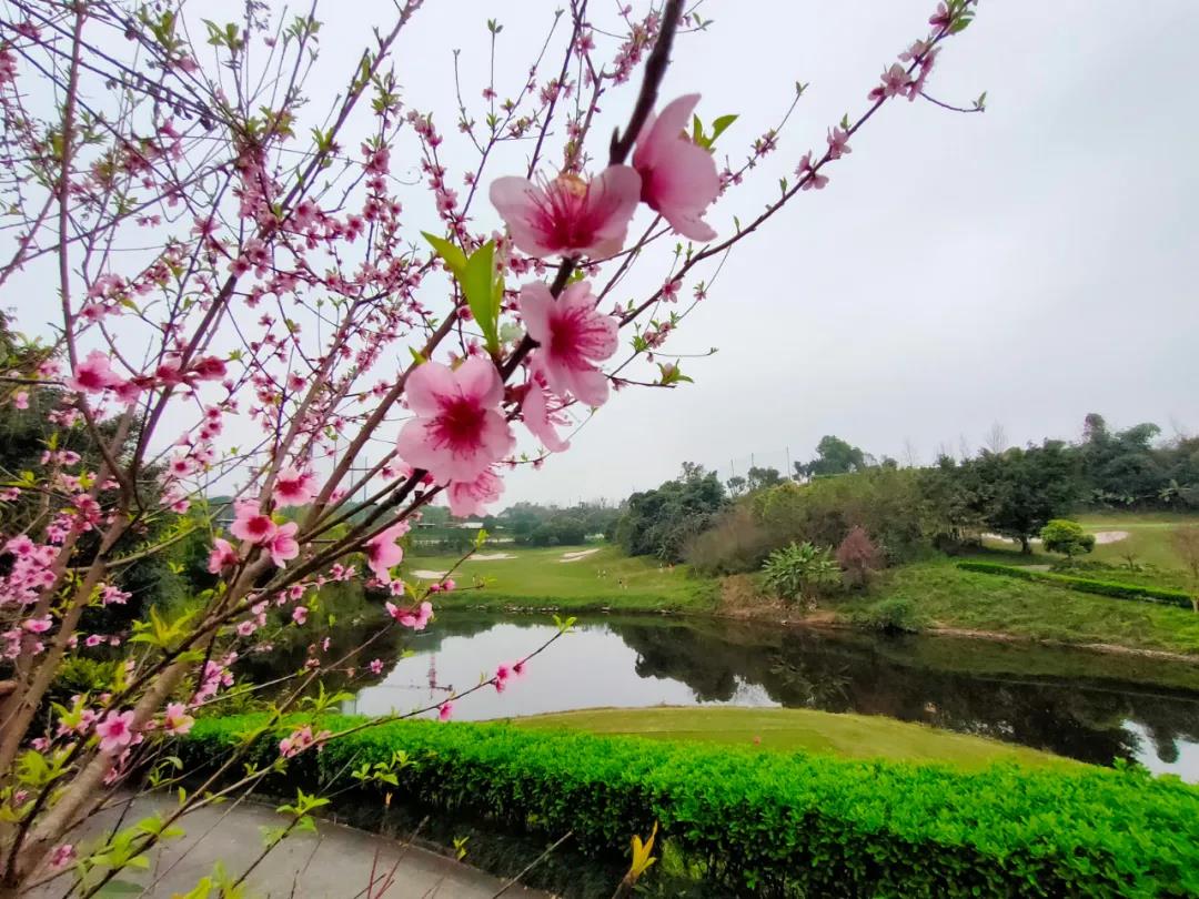 重庆红鼎高尔夫球会